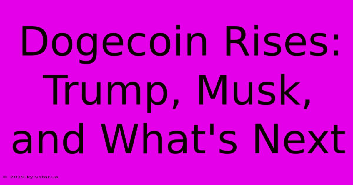 Dogecoin Rises: Trump, Musk, And What's Next 