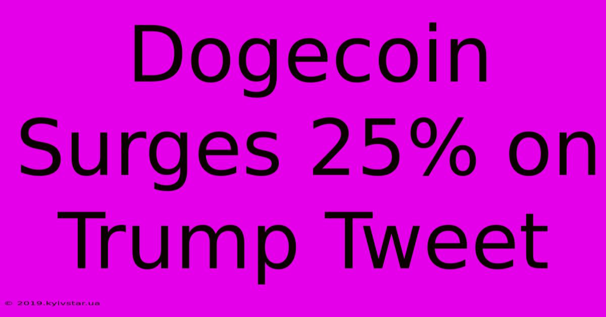 Dogecoin Surges 25% On Trump Tweet