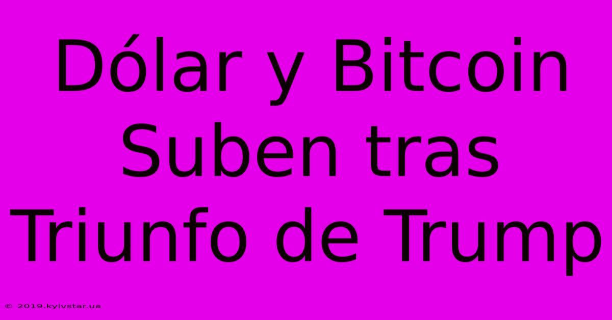 Dólar Y Bitcoin Suben Tras Triunfo De Trump