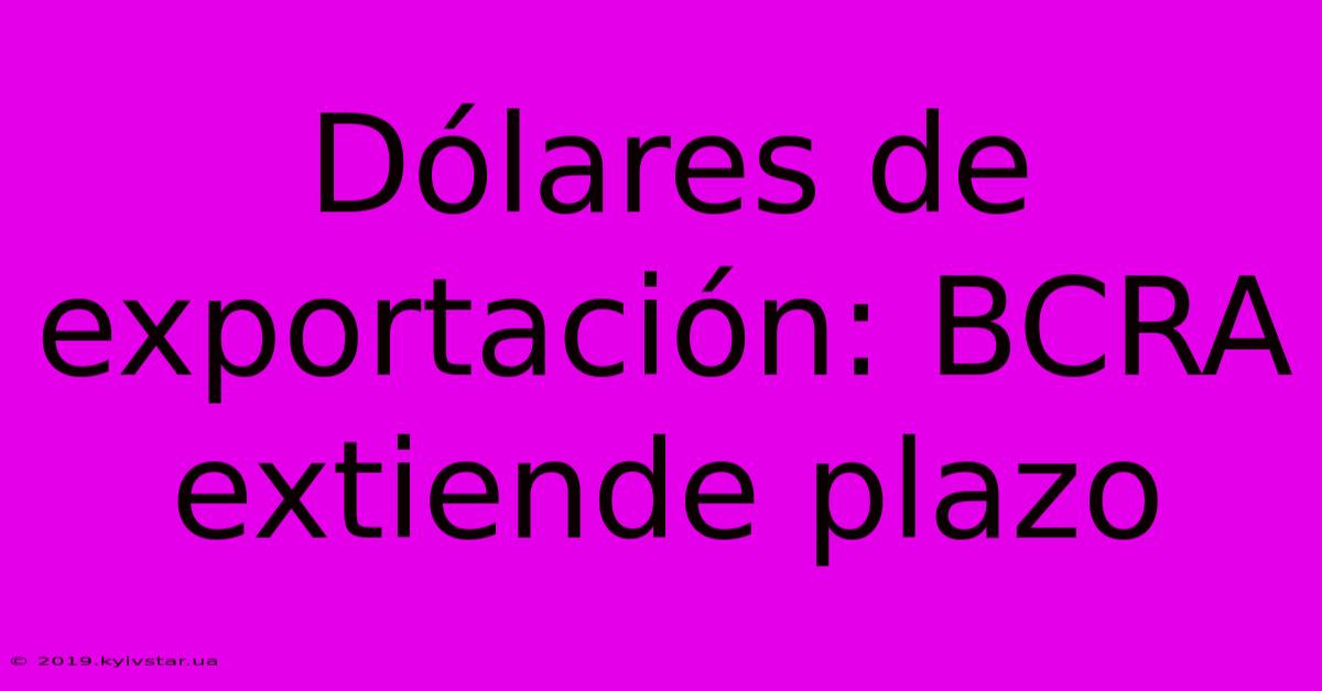 Dólares De Exportación: BCRA Extiende Plazo