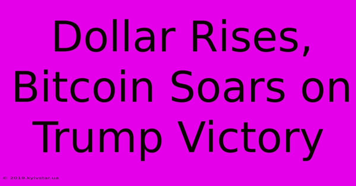 Dollar Rises, Bitcoin Soars On Trump Victory