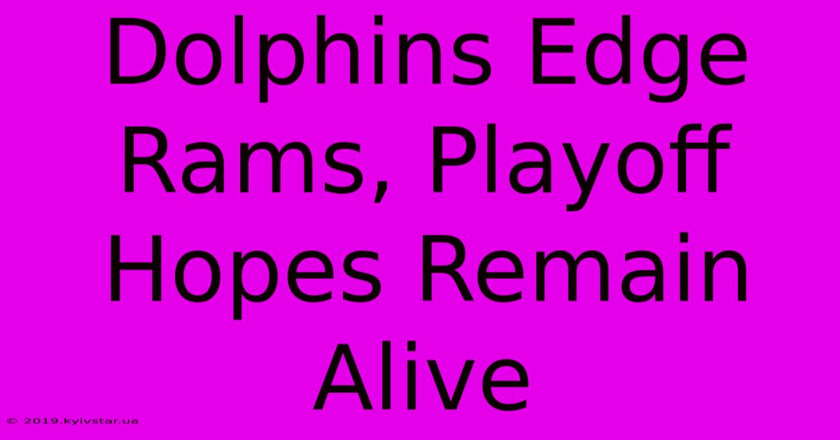 Dolphins Edge Rams, Playoff Hopes Remain Alive 