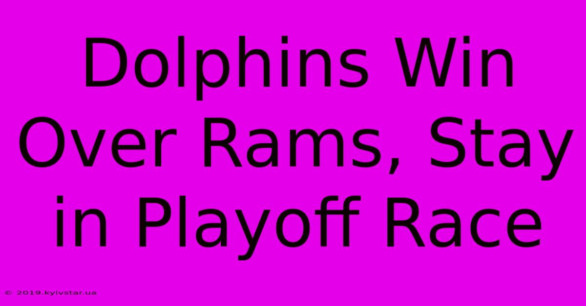 Dolphins Win Over Rams, Stay In Playoff Race