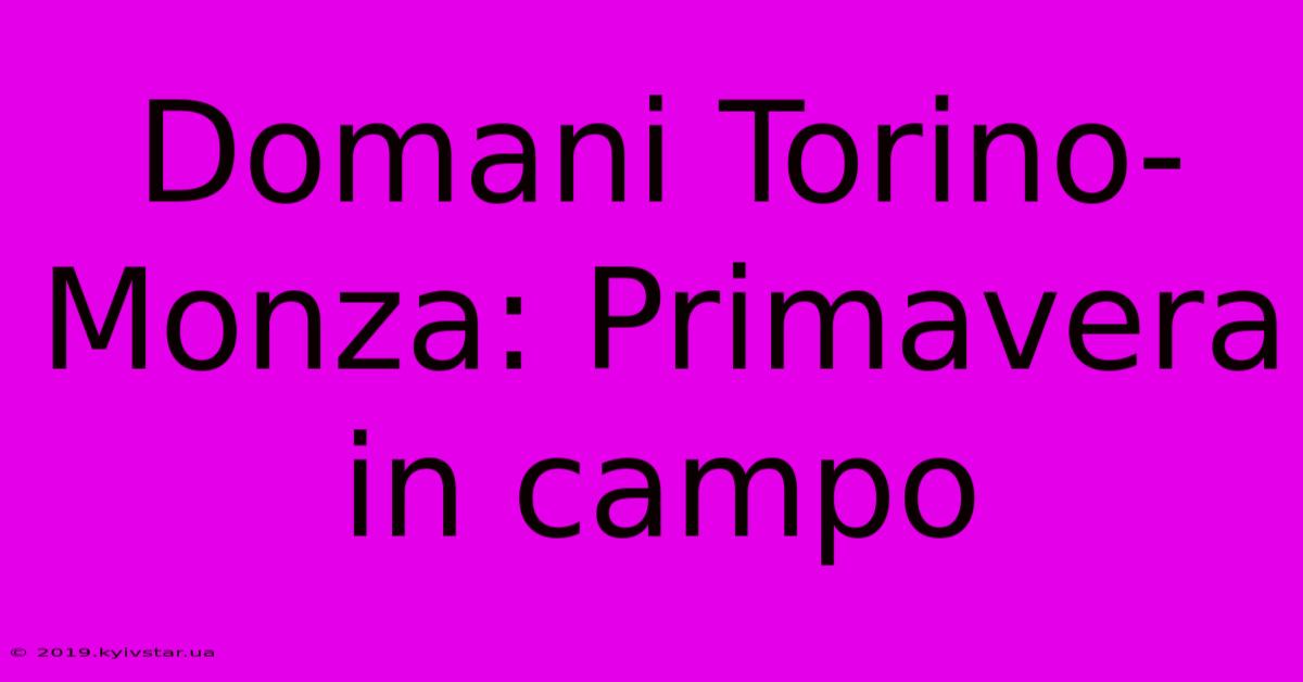 Domani Torino-Monza: Primavera In Campo