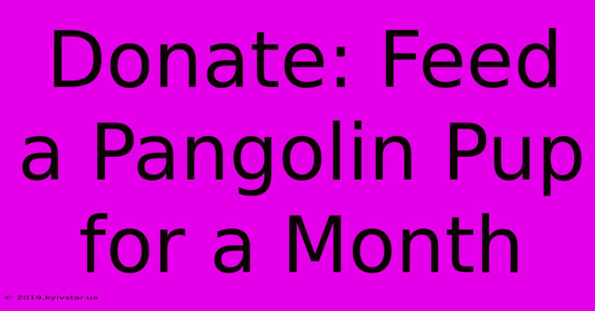 Donate: Feed A Pangolin Pup For A Month