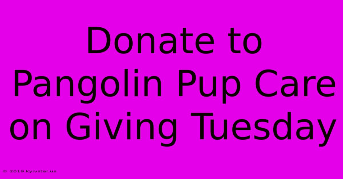 Donate To Pangolin Pup Care On Giving Tuesday 