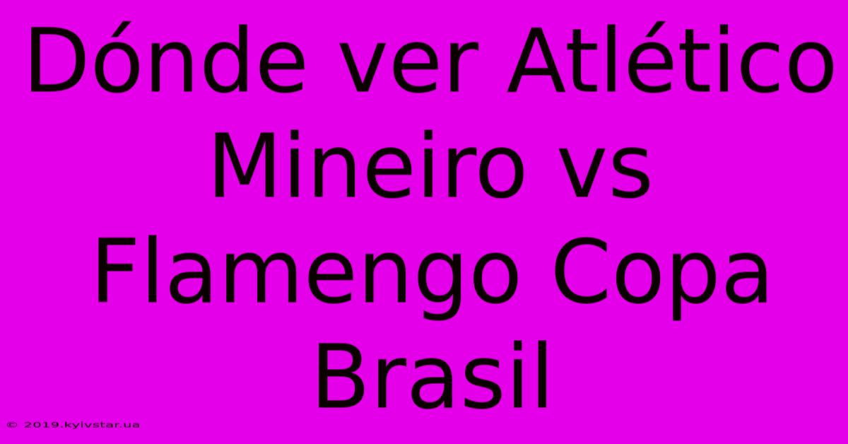 Dónde Ver Atlético Mineiro Vs Flamengo Copa Brasil