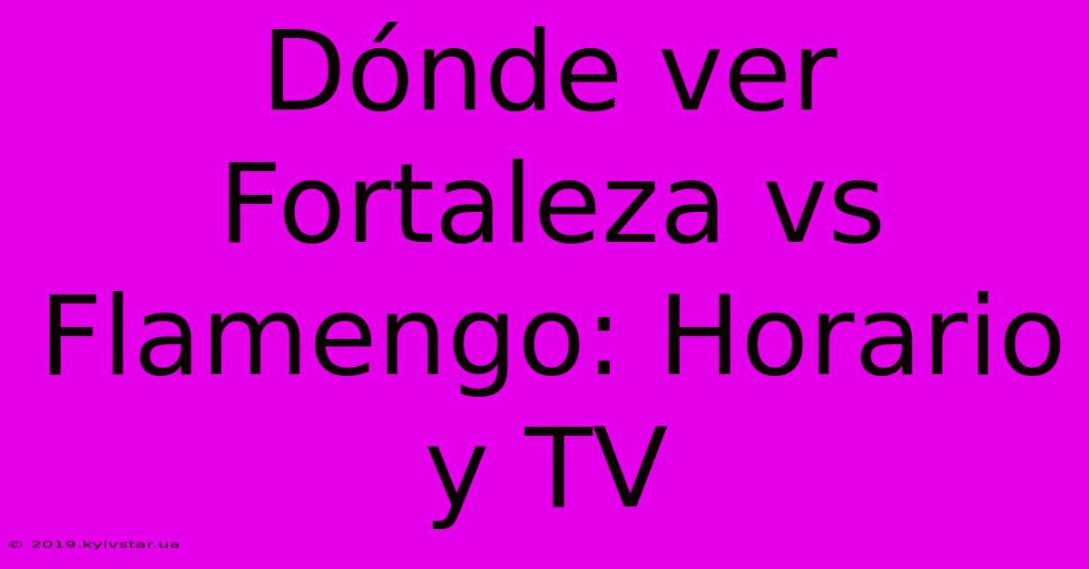 Dónde Ver Fortaleza Vs Flamengo: Horario Y TV