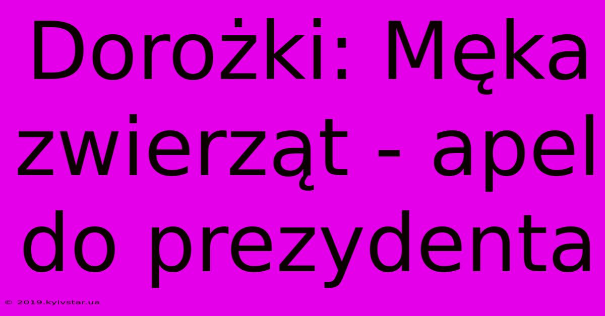 Dorożki: Męka Zwierząt - Apel Do Prezydenta