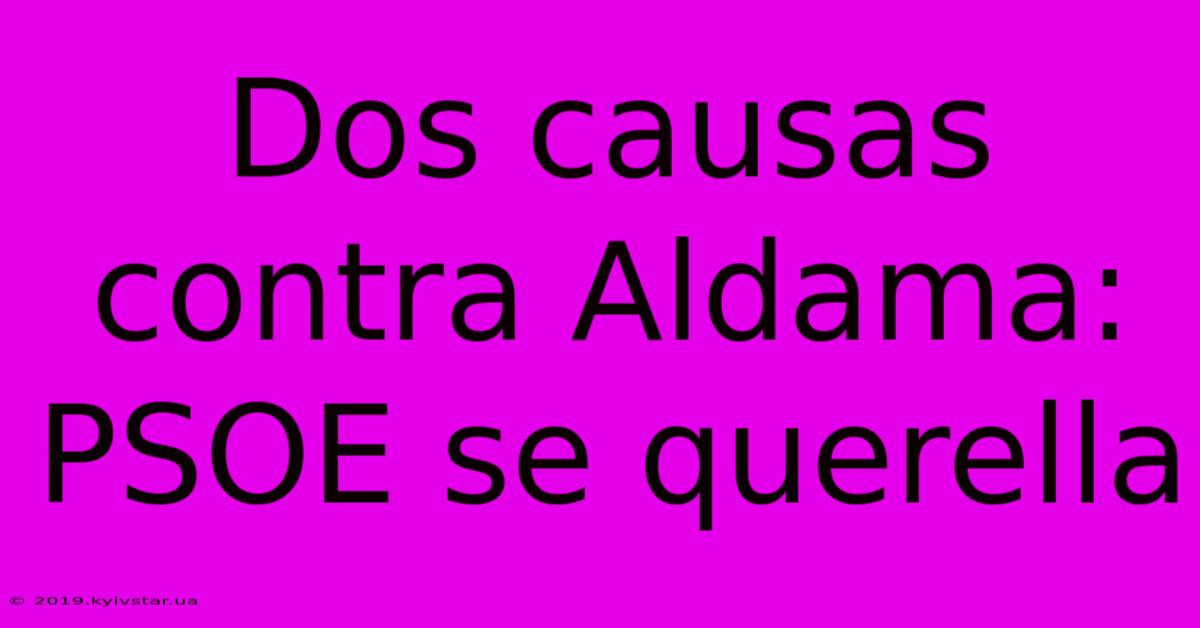 Dos Causas Contra Aldama: PSOE Se Querella