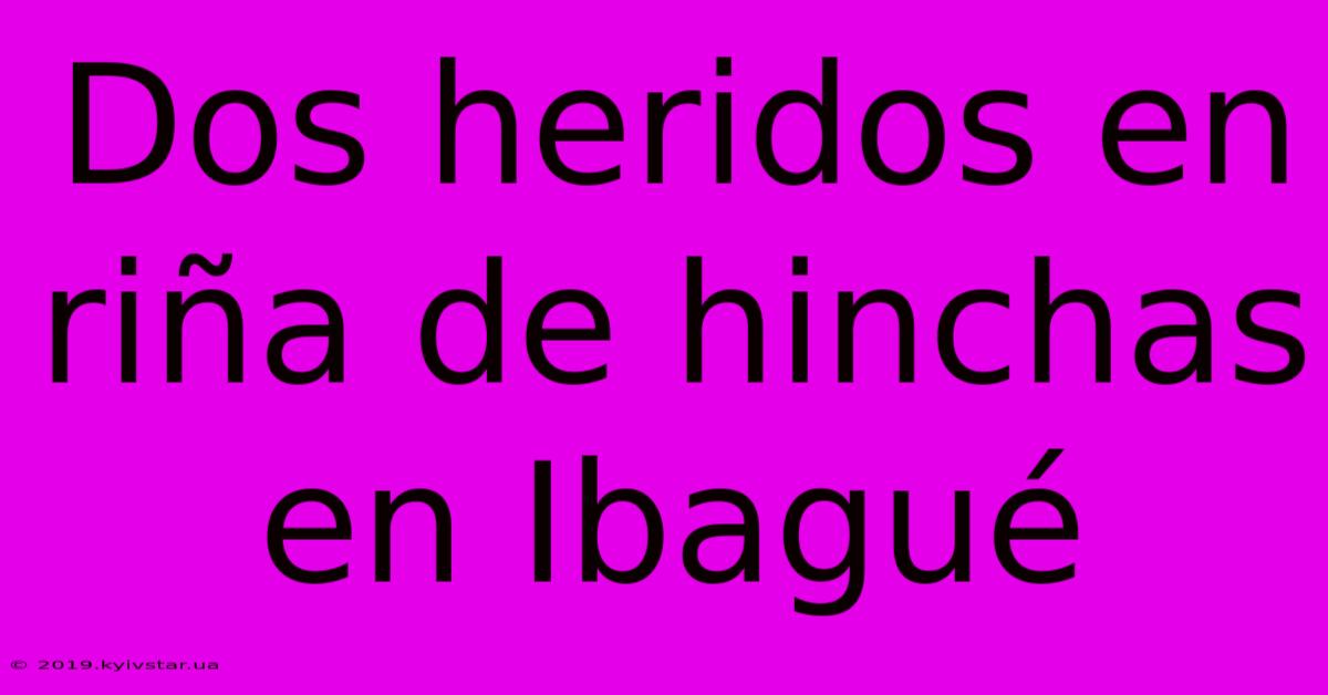 Dos Heridos En Riña De Hinchas En Ibagué