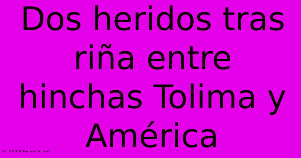 Dos Heridos Tras Riña Entre Hinchas Tolima Y América