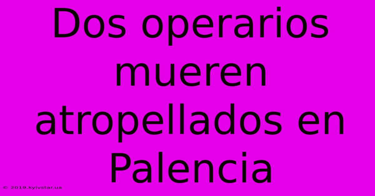 Dos Operarios Mueren Atropellados En Palencia