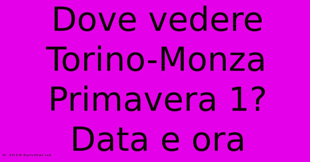 Dove Vedere Torino-Monza Primavera 1? Data E Ora