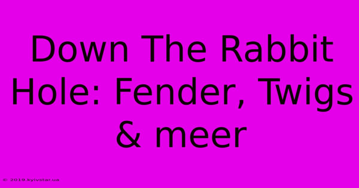 Down The Rabbit Hole: Fender, Twigs & Meer