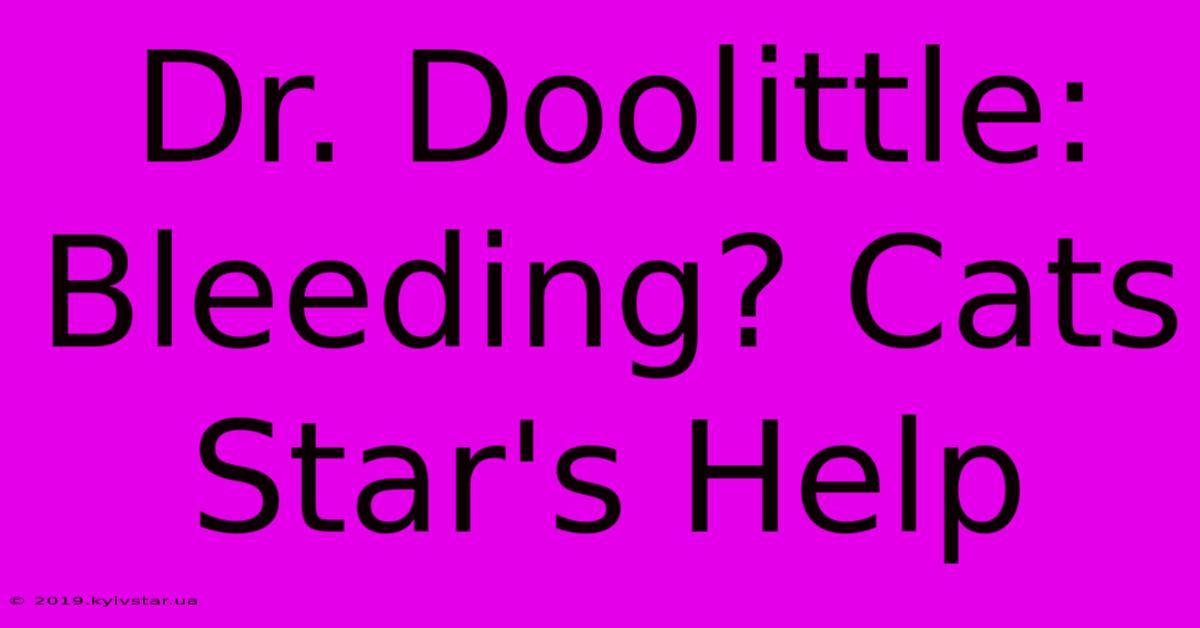 Dr. Doolittle:  Bleeding? Cats Star's Help