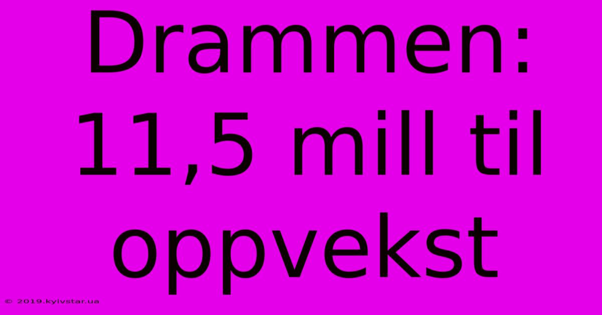 Drammen: 11,5 Mill Til Oppvekst