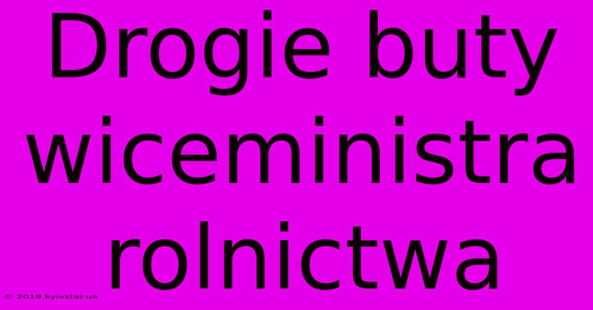 Drogie Buty Wiceministra Rolnictwa