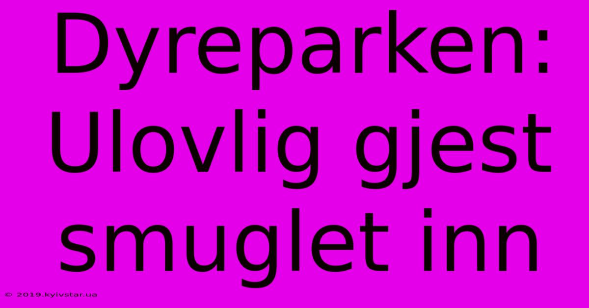 Dyreparken: Ulovlig Gjest Smuglet Inn