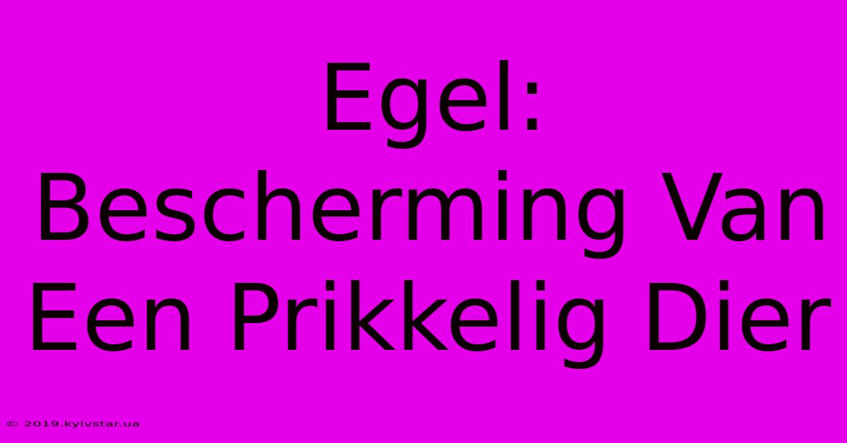 Egel: Bescherming Van Een Prikkelig Dier