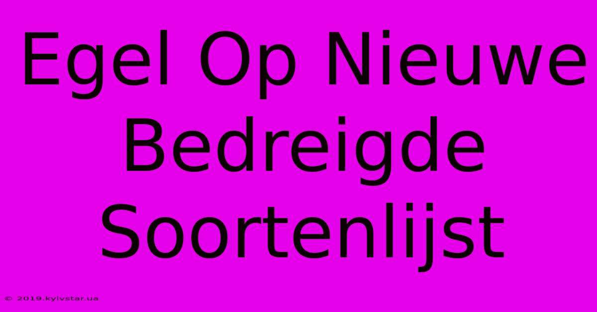 Egel Op Nieuwe Bedreigde Soortenlijst