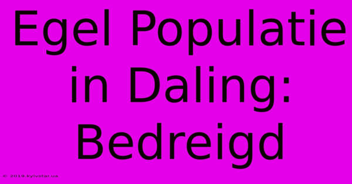 Egel Populatie In Daling: Bedreigd