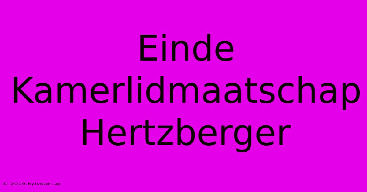 Einde Kamerlidmaatschap Hertzberger