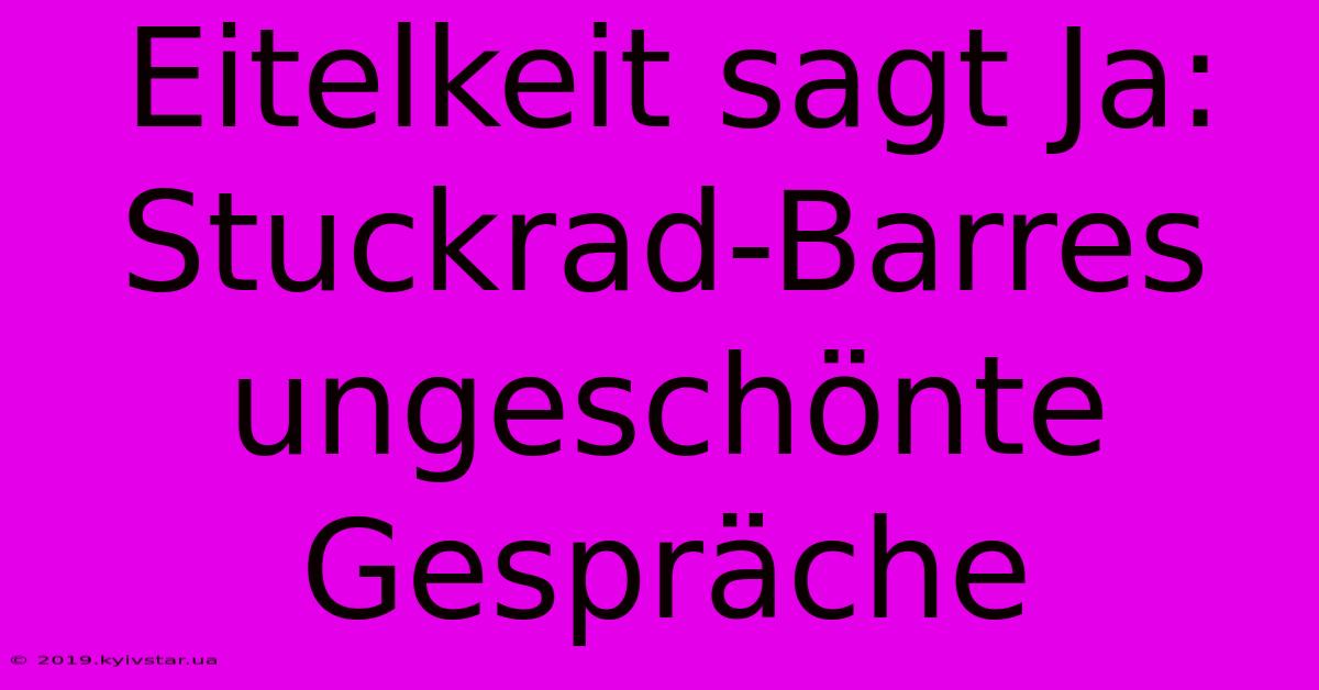 Eitelkeit Sagt Ja:  Stuckrad-Barres Ungeschönte Gespräche