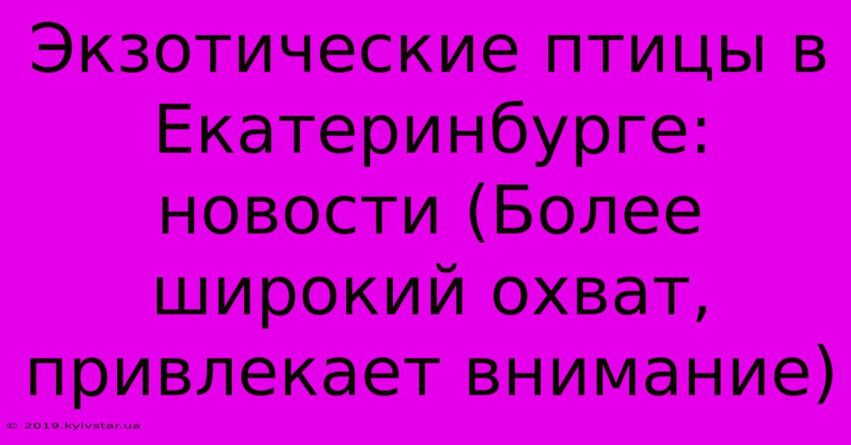 Экзотические Птицы В Екатеринбурге: Новости (Более Широкий Охват, Привлекает Внимание)