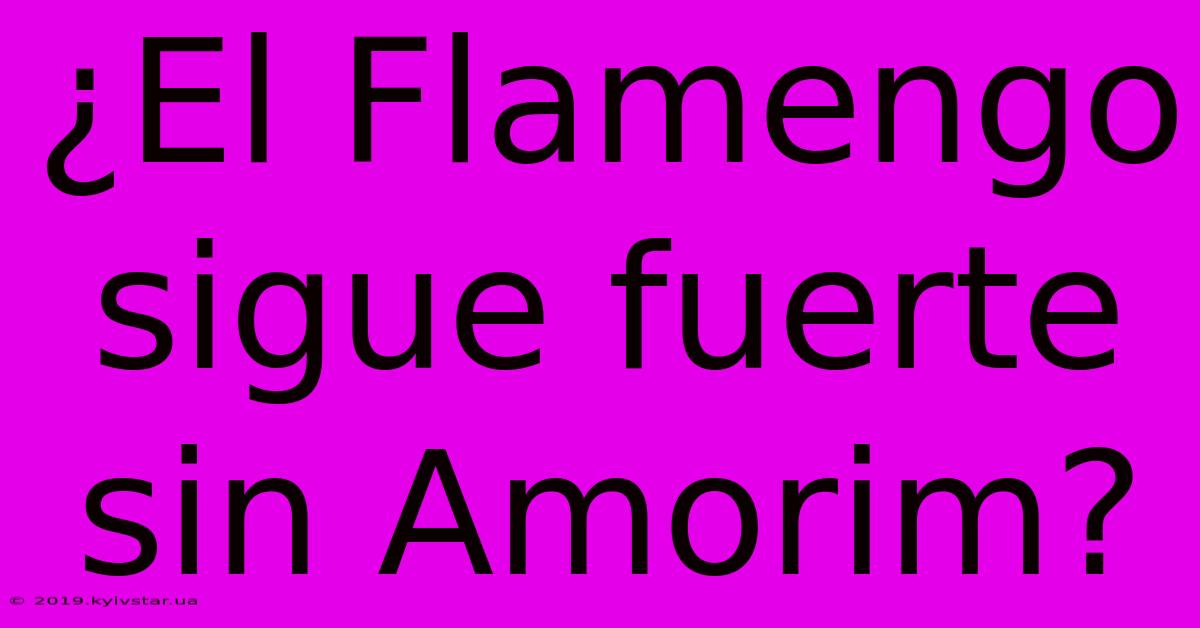 ¿El Flamengo Sigue Fuerte Sin Amorim?