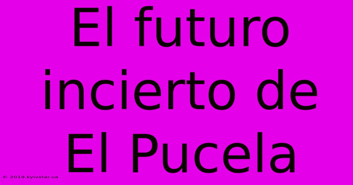 El Futuro Incierto De El Pucela