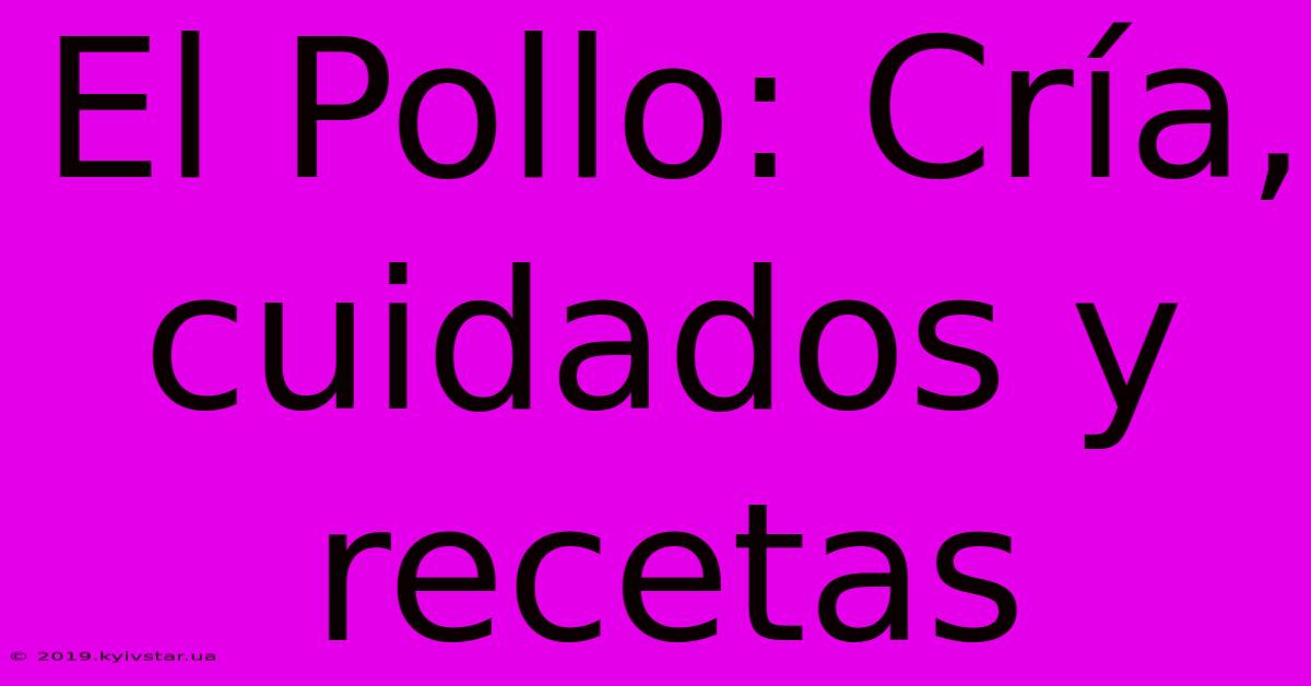 El Pollo: Cría, Cuidados Y Recetas