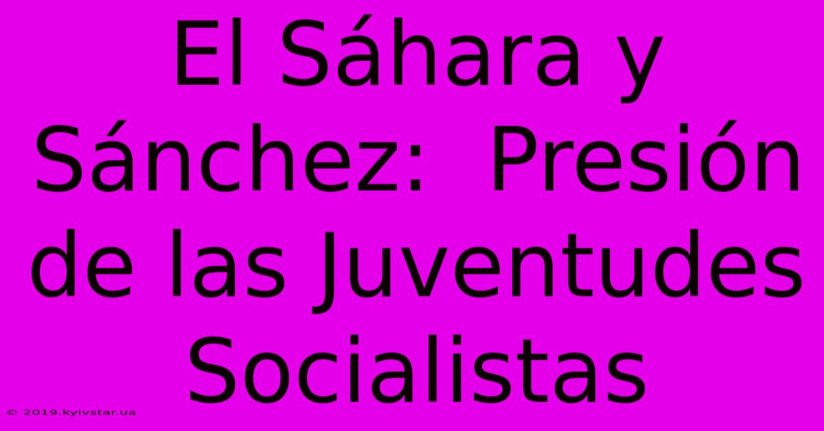 El Sáhara Y Sánchez:  Presión De Las Juventudes Socialistas