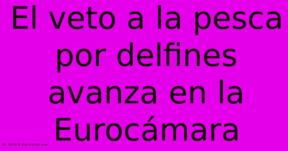 El Veto A La Pesca Por Delfines Avanza En La Eurocámara