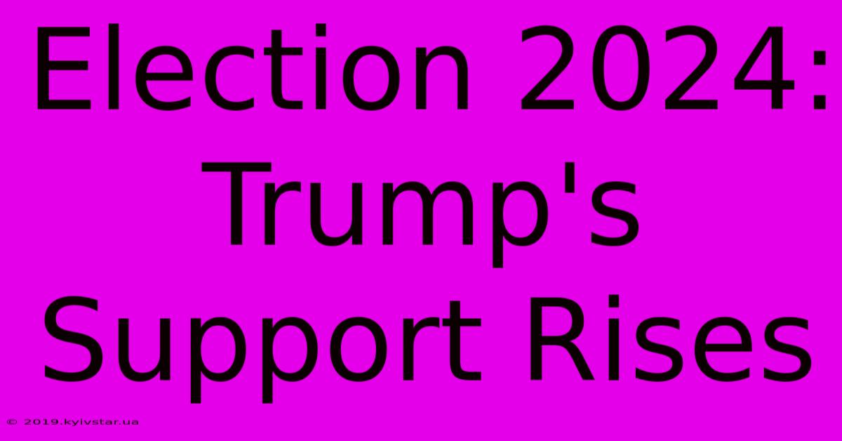 Election 2024: Trump's Support Rises 