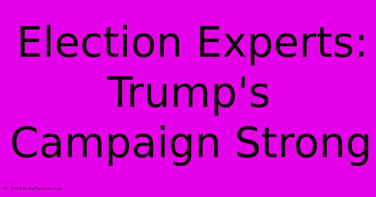 Election Experts: Trump's Campaign Strong 