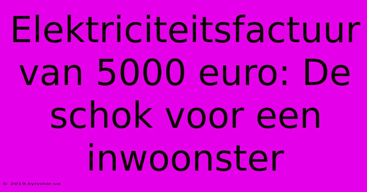 Elektriciteitsfactuur Van 5000 Euro: De Schok Voor Een Inwoonster