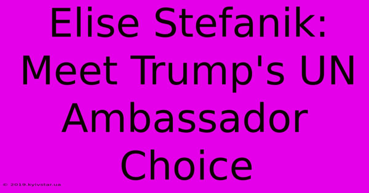 Elise Stefanik:  Meet Trump's UN Ambassador Choice