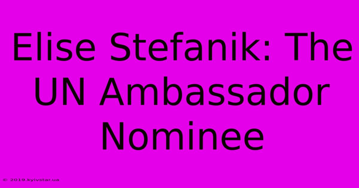 Elise Stefanik: The UN Ambassador Nominee