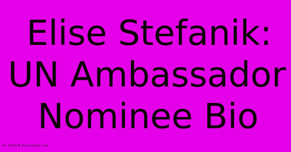 Elise Stefanik:  UN Ambassador Nominee Bio 