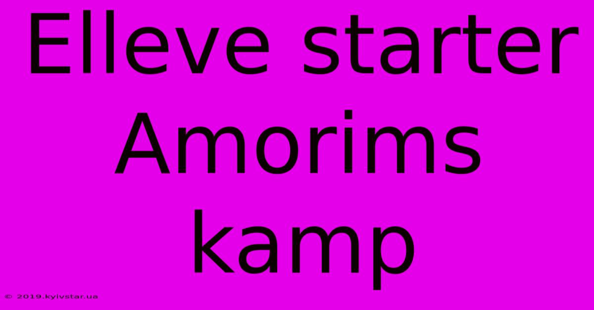 Elleve Starter Amorims Kamp