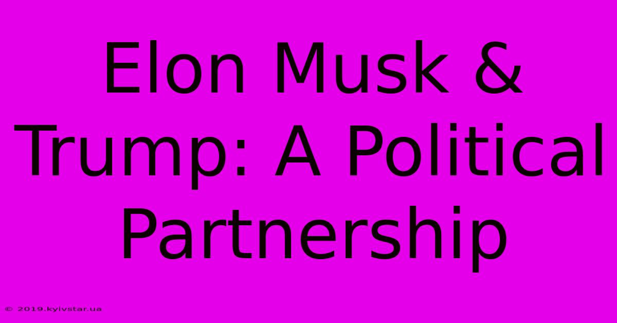 Elon Musk & Trump: A Political Partnership