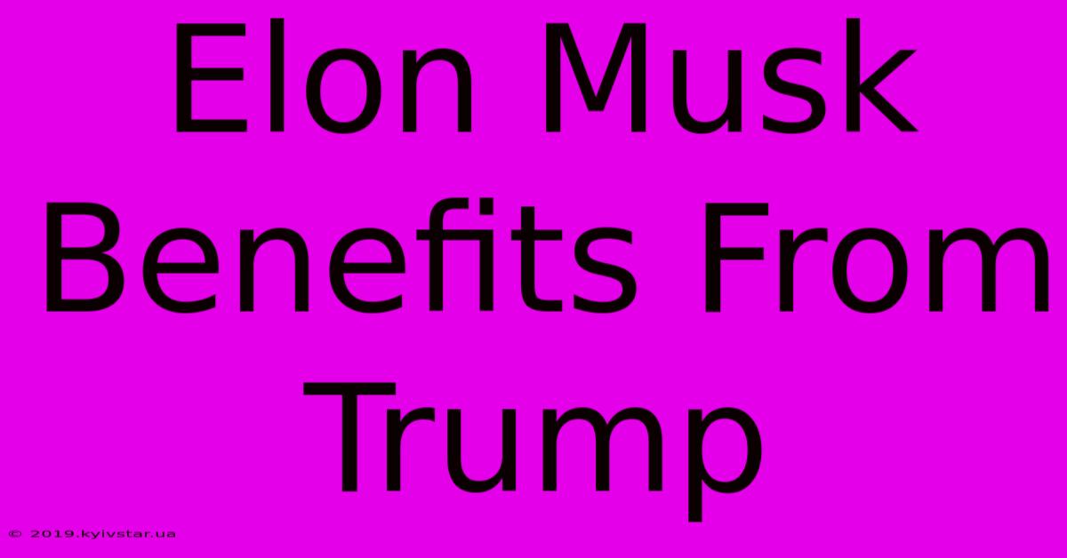 Elon Musk Benefits From Trump