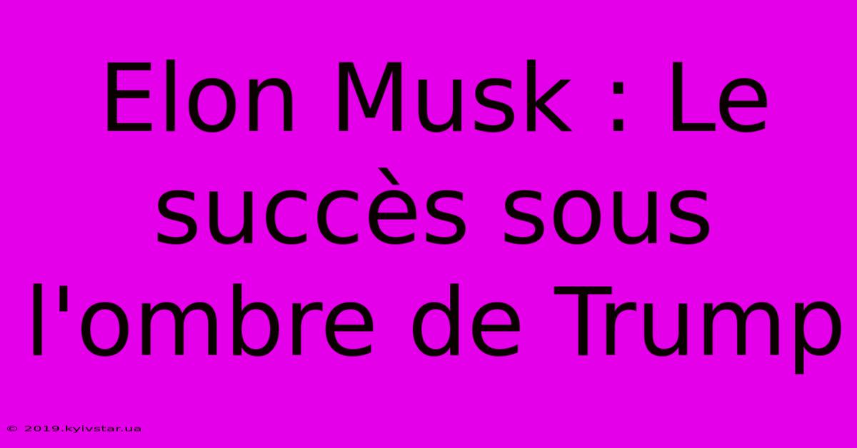 Elon Musk : Le Succès Sous L'ombre De Trump 