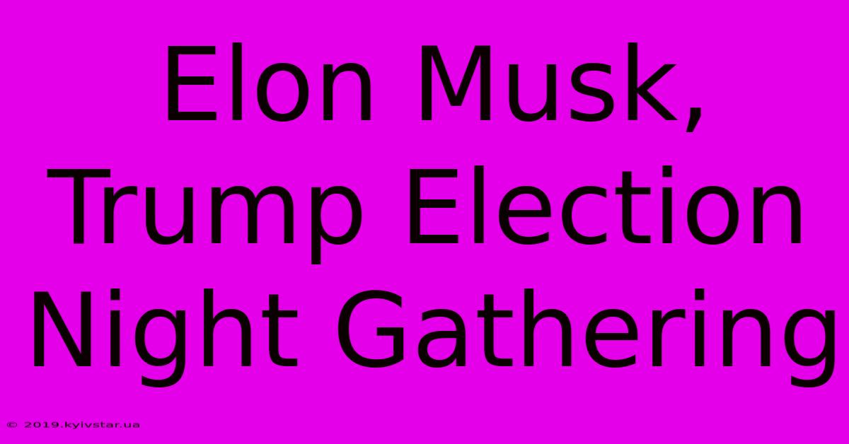 Elon Musk, Trump Election Night Gathering