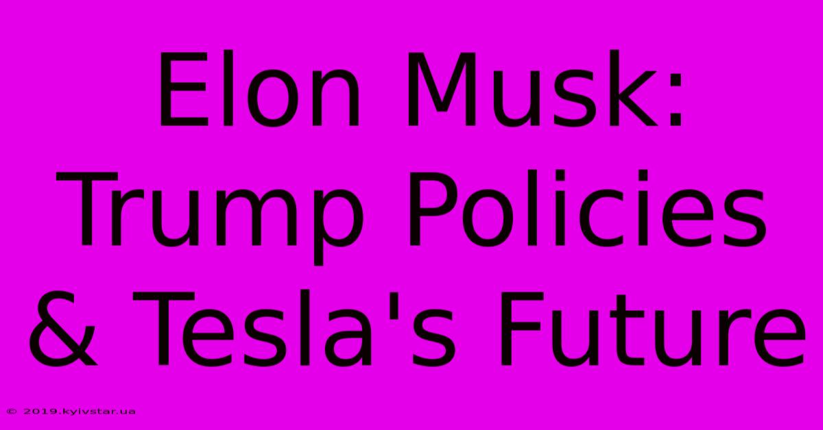 Elon Musk: Trump Policies & Tesla's Future 