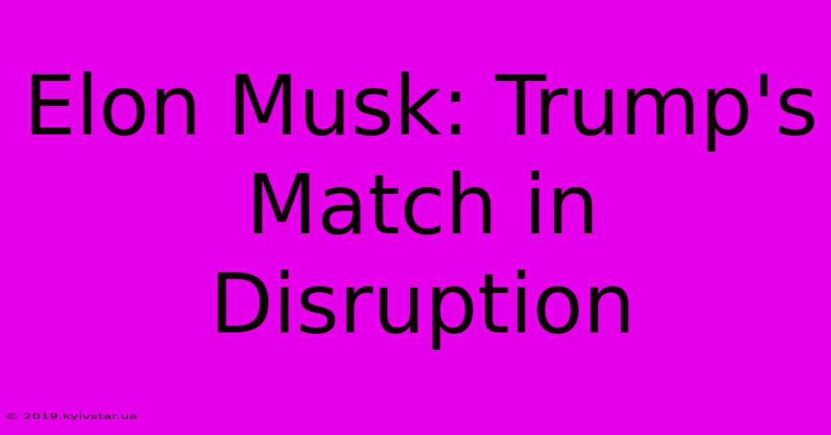 Elon Musk: Trump's Match In Disruption