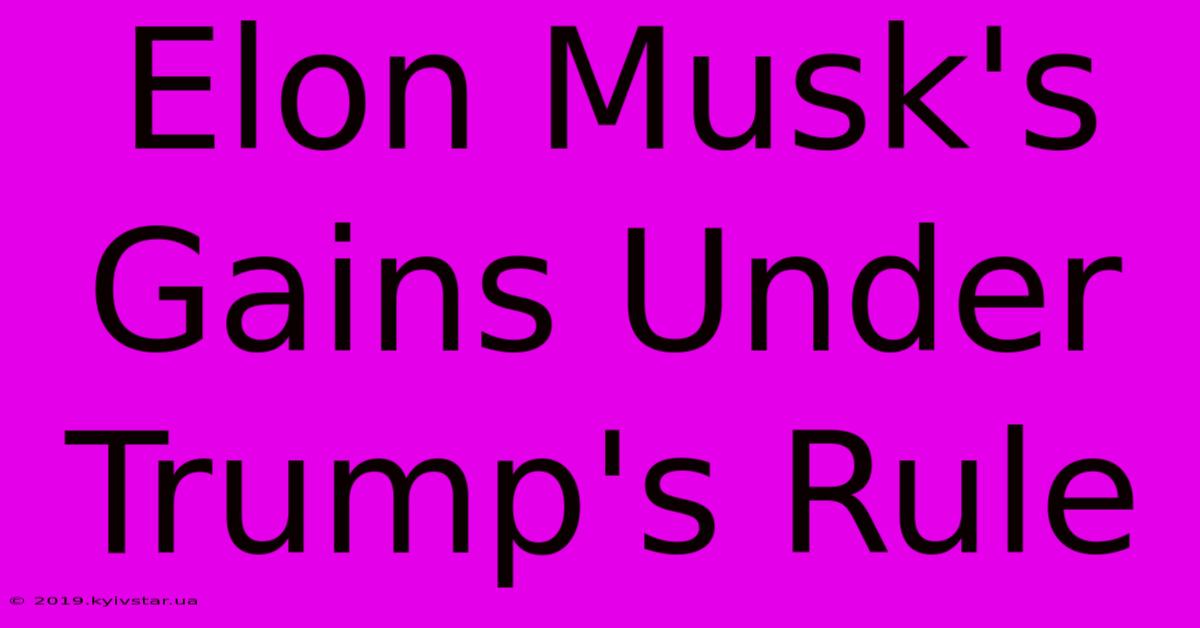 Elon Musk's Gains Under Trump's Rule