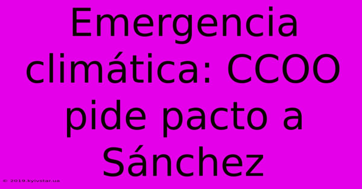 Emergencia Climática: CCOO Pide Pacto A Sánchez