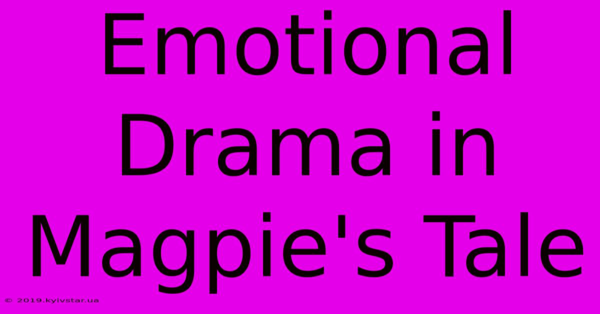 Emotional Drama In Magpie's Tale